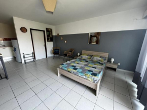 Studio confortable au cœur de Cayenne - Balcon avec vue